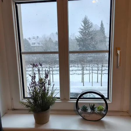 Baumhaus Hamm (North Rhine-Westphalia)