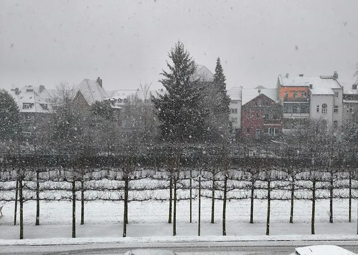 Baumhaus Hamm (North Rhine-Westphalia)