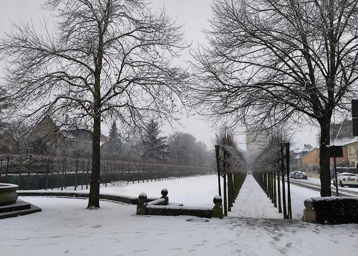 Baumhaus Daire Hamm (North Rhine-Westphalia)