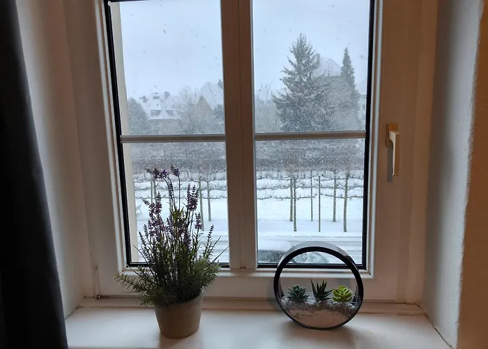 Baumhaus Hamm (North Rhine-Westphalia)